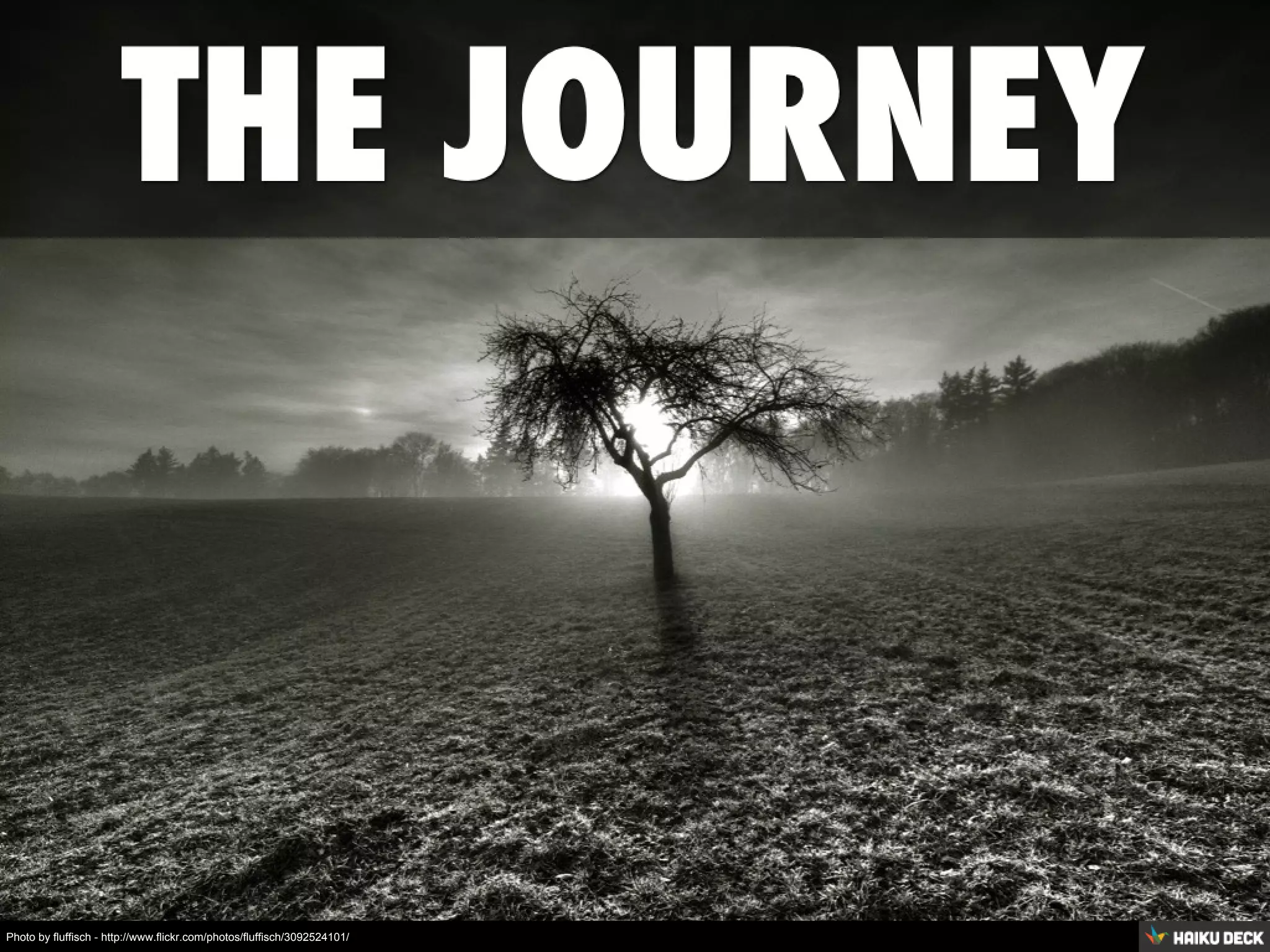 Photo by fluffisch - http://www.flickr.com/photos/fluffisch/3092524101/
 