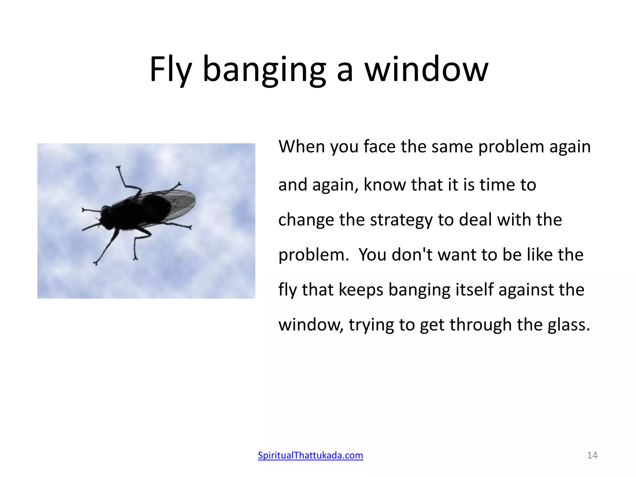 Fly banging a window
When you face the same problem again
and again, know that it is time to
change the strategy to deal with the
problem. You don't want to be like the
fly that keeps banging itself against the
window, trying to get through the glass.
SpiritualThattukada.com 14
 