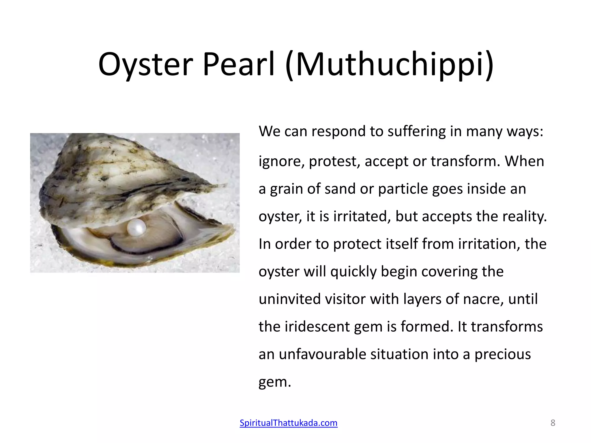 Oyster Pearl (Muthuchippi)
We can respond to suffering in many ways:
ignore, protest, accept or transform. When
a grain of sand or particle goes inside an
oyster, it is irritated, but accepts the reality.
In order to protect itself from irritation, the
oyster will quickly begin covering the
uninvited visitor with layers of nacre, until
the iridescent gem is formed. It transforms
an unfavourable situation into a precious
gem.
SpiritualThattukada.com 8
 