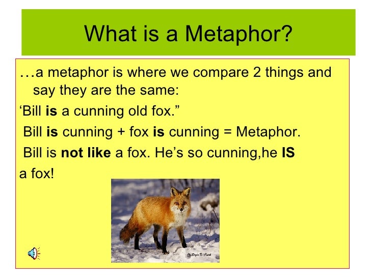 Metaphors metaphors
