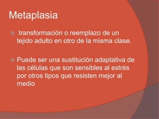 Metaplasia
 transformación o reemplazo de un
tejido adulto en otro de la misma clase.
 Puede ser una sustitución adaptativa de
las células que son sensibles al estrés
por otros tipos que resisten mejor al
medio
 