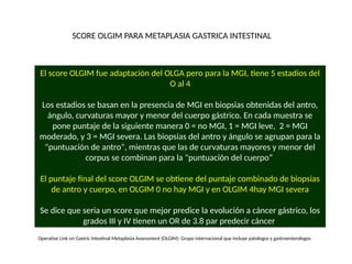 metaplasia gastrica precursos de cáncer gastrico.pptx