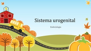 Sistema urogenital 
Embriología 
 