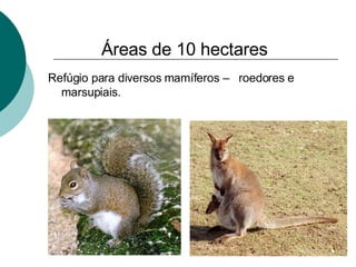 Refúgio para diversos mamíferos –  roedores e marsupiais. Áreas de 10 hectares 