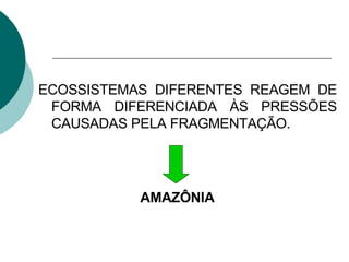 ECOSSISTEMAS DIFERENTES REAGEM DE FORMA DIFERENCIADA ÀS PRESSÕES CAUSADAS PELA FRAGMENTAÇÃO. AMAZÔNIA 
