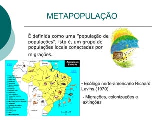 METAPOPULAÇÃO É definida como uma ”população de populações”, isto é, um grupo de populações locais conectadas por migrações.   Ecólogo norte-americano Richard Levins (1970)   - Migrações, colonizações e extinções   