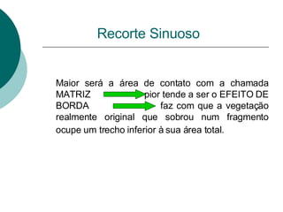Recorte Sinuoso Maior será a área de contato com a chamada MATRIZ  pior tende a ser o EFEITO DE BORDA  faz com que a vegetação realmente original que sobrou num fragmento ocupe um trecho inferior à sua área total.   