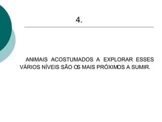 ANIMAIS ACOSTUMADOS A EXPLORAR ESSES VÁRIOS NÍVEIS SÃO OS MAIS PRÓXIMOS A SUMIR.   4. 