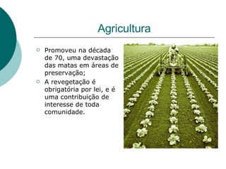Agricultura Promoveu na década de 70, uma devastação das matas em áreas de preservação; A revegetação é obrigatória por lei, e é uma contribuição de interesse de toda comunidade. 
