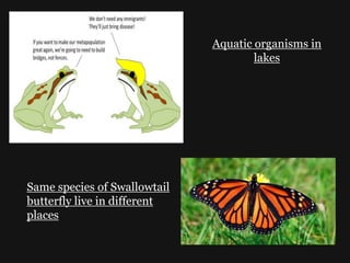 Aquatic organisms in
lakes
Same species of Swallowtail
butterfly live in different
places
 