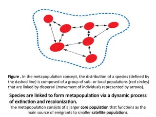 METAPOPULATION (Metapopulations are discrete subpopulation linked by ...