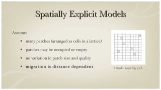 Spatially Explicit Models Assume: many patches (arranged as cells in a lattice) patches may be occupied or empty no variation in patch size and quality migration is distance dependent  Hanski, 1999 Fig. 5.3A 