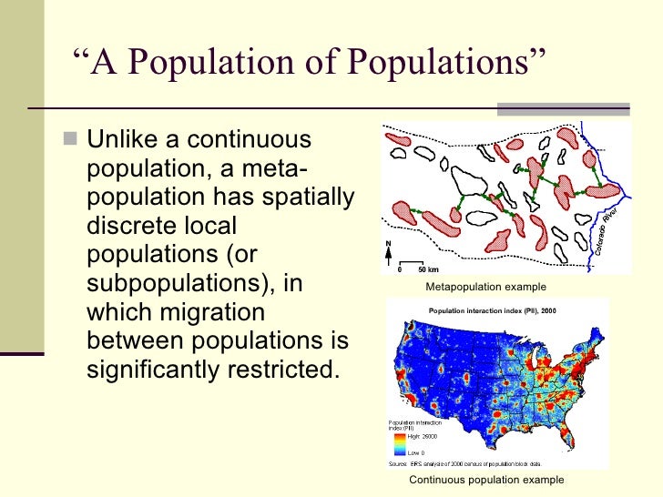 metapopulation