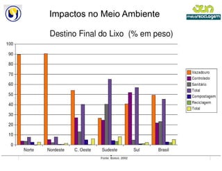 Impactos no Meio Ambiente
 