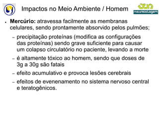 Impactos no Meio Ambiente / Homem
●   Mercúrio: atravessa facilmente as membranas
    celulares, sendo prontamente absorvido pelos pulmões;
    –   precipitação proteínas (modifica as configurações
        das proteínas) sendo grave suficiente para causar
        um colapso circulatório no paciente, levando a morte
    –   é altamente tóxico ao homem, sendo que doses de
        3g a 30g são fatais
    –   efeito acumulativo e provoca lesões cerebrais
    –   efeitos de evenenamento no sistema nervoso central
        e teratogênicos.
 