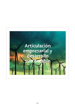 233
Articulación
empresarial y
desarrollo
sustentable
 