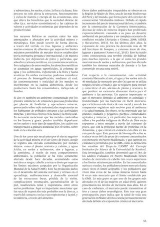 55
y subterránea, los suelos, el aire, la flora y la fauna. Este
proceso no solo afecta la estructura, funcionamiento
y ciclos de materia y energía de los ecosistemas, sino
que altera los beneficios que la sociedad obtiene de
ellos (p.e. servicios ecosistémicos) y las cadenas de
valores y actividades económicas que dependen de su
productividad.
Los recursos hídricos se cuentan entre los más
amenazados y afectados por la actividad minera y
metalúrgica. Esto puede ocurrir de forma directa,
a través del vertido en ríos, lagunas y ambientes
marino-costeros de efluentes que superan los límites
máximos permisibles de metales tóxicos establecidos
por la normativa peruana e internacional, y de manera
indirecta, por deposición de polvo y partículas, que
adsorben cationes metálicos, en ecosistemas acuáticos.
Por cualquiera de estos medios, los desechos metálicos
se acumulan en aguas superficiales, la columna de
agua y los sedimentos, exponiendo a la flora y fauna
acuáticas. En ambos escenarios, podemos considerar
el proceso de biomagnificación, mediante el cual,
las concentraciones y toxicidad de los metales se
incrementan en la cadena alimenticia, desde los
productores hasta los consumidores, incluyendo al
hombre.
El aire es también un ambiente contaminado por los
grandes volúmenes de emisiones gaseosas producidas
por plantas de fundición y operaciones mineras,
provocando sobre todo enfermedades respiratorias en
los habitantes de poblados cercanos a las actividades
mineras, y diversos efectos en la fauna y la flora local.
Es necesario mencionar que los metales contenidos
en los humos y gases, pueden también depositarse
en los suelos y todo tipo de superficies, los cuales son
transportados a grandes distancias por el viento, sobre
todo en la estación seca.
Uno de los casos más resaltantes por el efecto negativo
de la actividad minera es el de Cerro de Pasco, donde
se registra una elevada contaminación por metales
tóxicos, como el plomo, arsénico y cadmio, y aguas
ácidas, en suelos y sedimentos, ríos y lagunas, y
la atmósfera. A través de estos compartimentos
ambientales, la población se ha visto seriamente
afectada desde hace décadas, acumulando estos
metales en sangre, cabello y orina en dosis que superan
los límites máximos aceptados por la Organización
Mundial de la Salud (OMS). Esto ha producido daños
en el desarrollo del sistema nervioso y retraso en el
aprendizaje, malformaciones y desarrollo anormal
de las estructuras óseas, pérdida de la visión,
complicaciones estomacales, queratinización de la
piel, insuficiencia renal y respiratoria, entre otros
serios problemas. Aquí es importante mencionar que
las rutas de exposición más probables son la directa, a
través del contacto con las vías respiratorias y la piel, y
la indirecta, a través del alimento.
Otros daños ambientales irreparables se observan en
la Región de Madre de Dios, una de las más biodiversas
del Perú y del mundo, que forma parte del corredor de
conservación Vilcabamba-Amboro. Debido al rápido
incremento del precio internacional del oro, y también
por la construcción de la Carretera Interoceánica,
decenas de miles de mineros ilegales han proliferado
exponencialmente, causando a su paso un desastre
ambiental sin precedentes y un complejo escenario de
conflictos sociales (Arriarán y Gómez, 2008; AIDER
y Recavarren, 2011). En los últimos diez años, la
expansión de esta práctica ha destruido más de 50
mil hectáreas de bosques, y extensas áreas de ríos,
lagunas y pantanos (Asner et al., 2013). Esto ha traído
como consecuencia una terrible pérdida de hábitat
para muchas especies, a la que se suma los grandes
movimientos de suelos y sedimentos, que han alterado
también los sistemas naturales de drenaje y la han
convertido en una zona estéril.
Con respecto a la contaminación, esta actividad
continúa liberando al aire, el agua y los suelos más de
40 toneladas de mercurio por año (ya que no se utiliza
ningún circuito cerrado), que se requiere para extraer
y concentrar el oro, además de plomo y arsénico, lo
que produce un escenario altamente tóxico para el
ambiente y las personas. Un aspecto importante es
que el mercurio liberado al ambiente es asimilado y
transformado por las bacterias en metil mercurio,
que es la forma más tóxica de este metal y uno de los
compuestos orgánicos más nocivos para el ambiente
y la salud humana. En efecto, se ha reportado que las
grandes ciudades y pequeños pueblos, comunidades
agrícolas y mineras, y en particular, las mujeres, los
niños y los pueblos indígenas de Madre de Dios están
expuestos a estos metales a través del consumo de
peces, que son la principal fuente de proteínas en la
Amazonía, y que entran en contacto con ellos en los
cuerpos de agua. Este proceso de biomagnificación se
traduce en un 60% de peces de consumo contaminados
con mercurio en Puerto Maldonado, y que superan los
estándares permitidos por la OMS, como lo demuestra
los estudios del Proyecto CAMEP del Carnegie
Institution for Science de la Universidad de Stanford.
Esta investigación, también determinó que el 78% de
los adultos evaluados en Puerto Maldonado tienen
niveles de mercurio en cabello tres veces superiores
a los límites máximos permitidos. En las comunidades
nativas y rurales, los pobladores tienen mercurio hasta
cinco veces el límite aceptable, y los pobladores que
viven más cerca de las zonas mineras tienen hasta
8 veces más mercurio que el límite establecido por
la OMS. Lo más grave es que uno de los grupos más
afectados es el de las mujeres en edad fértil, quienes
presentaron los niveles de mercurio más altos. En el
caso de embarazo, el mercurio puede transmitirse al
feto y causar daños neurológicos. Esto trae una gran
preocupación, pues indica que la salud de toda una
generaciónenMadredeDiosestaríapermanentemente
afectada debido a la exposición crónica al mercurio.
 