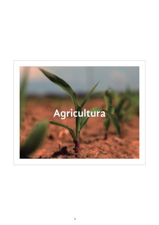 9
Agricultura
 