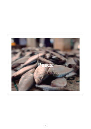 93
Pesca
 