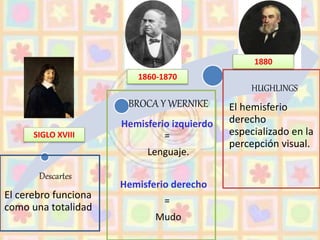 Descartes
El cerebro funciona
como una totalidad
BROCA Y WERNIKE
Hemisferio izquierdo
=
Lenguaje.
Hemisferio derecho
=
Mudo
HUGHLINGS
El hemisferio
derecho
especializado en la
percepción visual.
SIGLO XVIII
1860-1870
1880
 