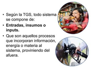 • Según la TGS, todo sistema
se compone de:
• Entradas, insumos o
inputs.
• Que son aquellos procesos
que incorporan información,
energía o materia al
sistema, proviniendo del
afuera.
 