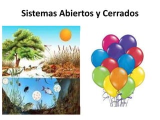 Sistemas Abiertos y Cerrados
 