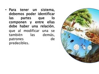 • Para tener un sistema,
debemos poder identificar
las partes que lo
componen y entre ellas
debe haber una relación,
que al modificar una se
también las demás,
patrones de
predecibles.
 