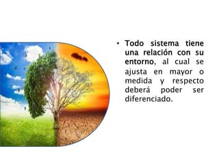 • Todo sistema tiene
una relación con su
entorno, al cual se
ajusta en mayor o
medida y respecto
deberá poder ser
diferenciado.
 