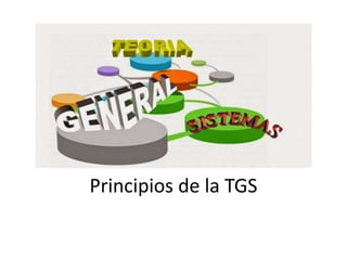 Principios de la TGS
 