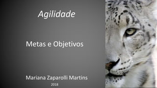 Agilidade
Mariana Zaparolli Martins
2018
Metas e Objetivos
 
