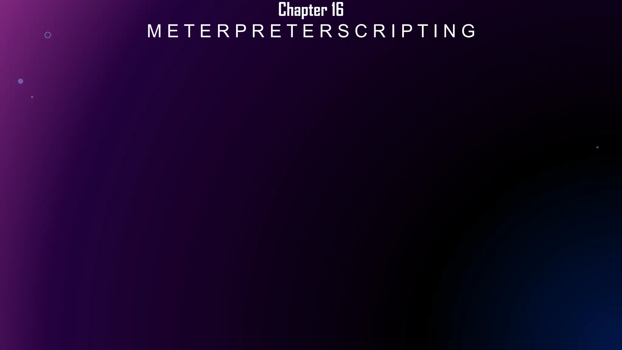 Chapter 16
M E T E R P R E T E R S C R I P T I N G
 