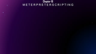 Chapter 16
M E T E R P R E T E R S C R I P T I N G
 
