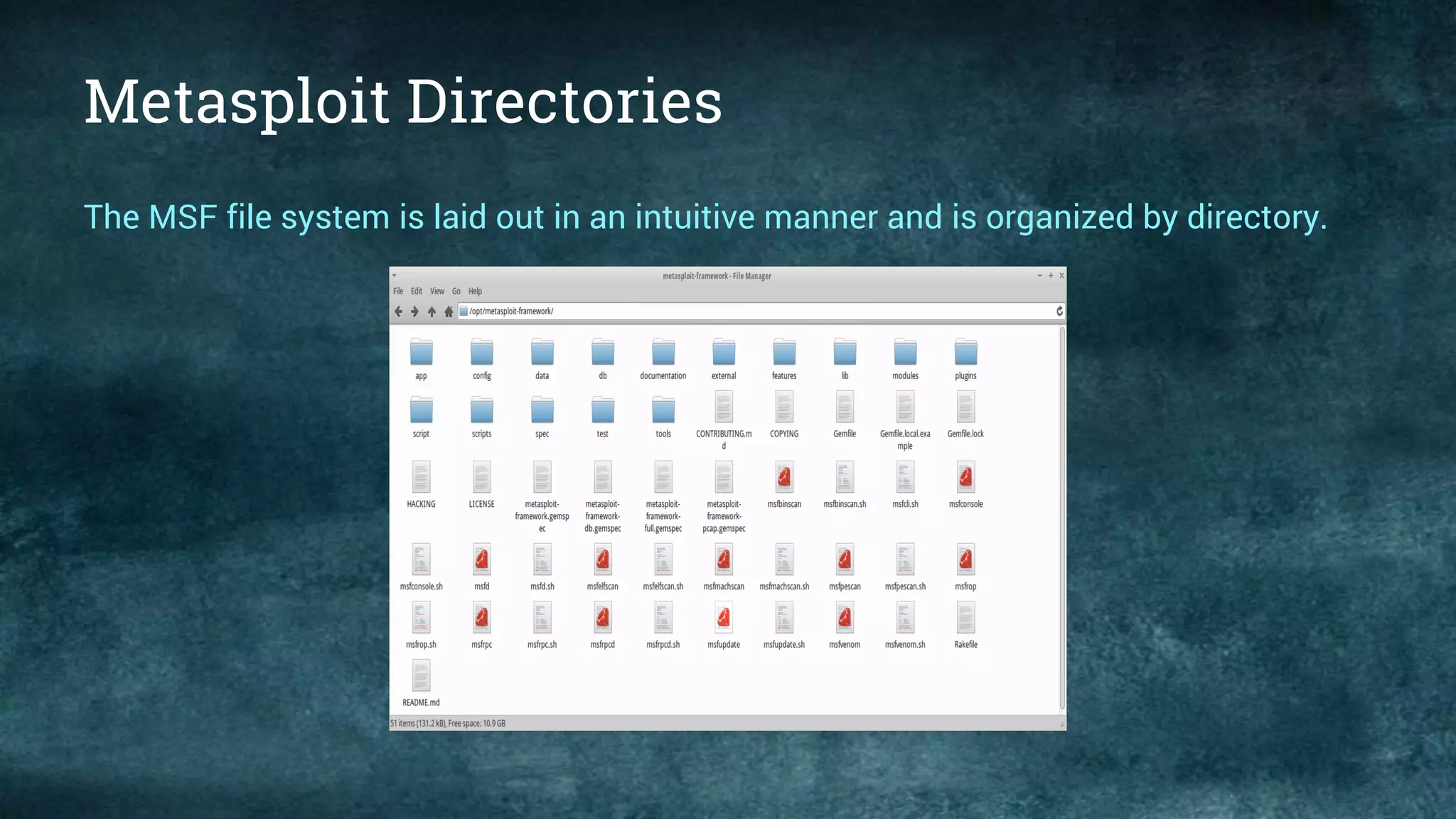 Metasploit Directories
The MSF file system is laid out in an intuitive manner and is organized by directory.
 