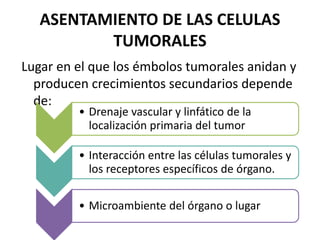 ASENTAMIENTO DE LAS CELULAS
TUMORALES
Lugar en el que los émbolos tumorales anidan y
producen crecimientos secundarios depende
de:
• Drenaje vascular y linfático de la
localización primaria del tumor
• Interacción entre las células tumorales y
los receptores específicos de órgano.
• Microambiente del órgano o lugar
 