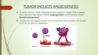 TUMOR INDUCES ANGIOGENESIS
 To grow a tumor, needs adequate blood supply for oxygen and nutrients.
Thus, the form new blood vessels (angiogenesis) and lymphatic vessels
(lymphangiogenesis)
 Vessels not only supply oxygen and nutrients but also provide and escape
route for its cells to metastasize.
 