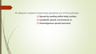  Malignant neoplasms disseminate (spread) by one of three pathways:
(1) Spread by seeding within body cavities,
(2) Lymphatic spread, (carcinomas) or
(3) Hematogenous spread (sarcoma)
 