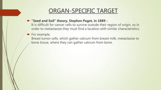 ORGAN-SPECIFIC TARGET
 “Seed and Soil" theory, Stephen Paget, in 1889 -
It is difficult for cancer cells to survive outside their region of origin, so in
order to metastasize they must find a location with similar characteristics.
 For example,
Breast tumor cells, which gather calcium from breast milk, metastasize to
bone tissue, where they can gather calcium from bone.
 