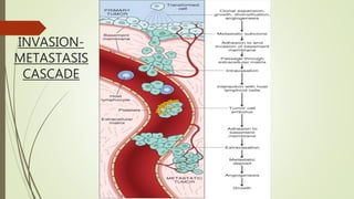 INVASION-
METASTASIS
CASCADE
 