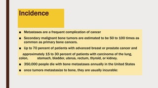 Incidence
■ Metastases are a frequent complication of cancer
■ Secondary malignant bone tumors are estimated to be 50 to 100 times as
common as primary bone cancers.
■ Up to 70 percent of patients with advanced breast or prostate cancer and
approximately 15 to 30 percent of patients with carcinoma of the lung,
colon, stomach, bladder, uterus, rectum, thyroid, or kidney.
■ 350,000 people die with bone metastases annually in the United States
■ once tumors metastasize to bone, they are usually incurable:
 