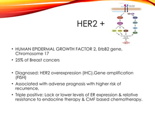 METASTATIC BREAST CANCER HER2 +VE (1).pptx