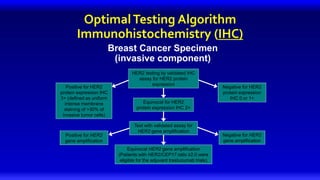 OptimalTesting Algorithm
Immunohistochemistry (IHC)
Breast Cancer Specimen
(invasive component)
Equivocal for HER2
protein expression IHC 2+
Equivocal HER2 gene amplification
(Patients with HER2/CEP17 ratio ≥2.0 were
eligible for the adjuvant trastuzumab trials)
Positive for HER2
protein expression IHC
3+ (defined as uniform
intense membrane
staining of >30% of
invasive tumor cells)
Negative for HER2
protein expression
IHC 0 or 1+
Negative for HER2
gene amplification
Positive for HER2
gene amplification
HER2 testing by validated IHC
assay for HER2 protein
expression
Test with validated assay for
HER2 gene amplification
 
