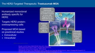 16
© 2013 Genentech, Inc. All rights reserved.
The HER2-Targeted Therapeutic: Trastuzumab MOA
Humanized monoclonal
antibody specific for
HER2
Targets HER2 protein-
overexpressing cells
Proposed MOA based
on preclinical studies
● Extracellular
● Intracellular
Dimerized
HER2
receptors
signal tumor
cells to
proliferate
Extracellular
trastuzumab
binds to subdomain
IV of HER2 receptors
on tumor cells,
flagging them for
destruction by the
immune system
Intracellular
trastuzumab
blocks HER2
signaling to
inhibit
proliferation
of tumor cells
Arnould L, et al. Br J Cancer 2006;94:259-267. Bianco AR. J Chemother
2004;16(suppl 4):52-54. Harari D, Yarden Y. Oncogene 2000;19;6102-6114.
Lewis GD, et al. Cancer Immunol Immunother 1993;37:255-263.
Sliwkowski MX, et al. Semin Oncol 1999;26(suppl 12):60-70. Yakes FM, et al. Cancer Res 2002;62:4132-4141. Yarden Y. Oncology 2001;61(suppl 2):1-13.
Herceptin® (trastuzumab) [prescribing information]. South San Francisco, CA: Genentech, Inc.; 2010.
MOA=mechanism of action
 
