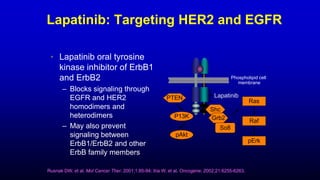 18
Rusnak DW, et al. Mol Cancer Ther. 2001;1:85-94; Xia W, et al. Oncogene. 2002;21:6255-6263.
PTEN Lapatinib
P13K
pAkt
Ras
Raf
pErk
Shc
Grb2
So8
Phospholipid cell
membrane
Lapatinib: Targeting HER2 and EGFR
• Lapatinib oral tyrosine
kinase inhibitor of ErbB1
and ErbB2
– Blocks signaling through
EGFR and HER2
homodimers and
heterodimers
– May also prevent
signaling between
ErbB1/ErbB2 and other
ErbB family members
 