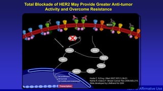 Not For Affirmative Use
Total Blockade of HER2 May Provide Greater Anti-tumor
Activity and Overcome Resistance
HER2 - HER2
PTEN
SOS
RAS
RAF
MEK
MAPK
Cell proliferation
Cell survival
Cell mobility and invasiveness
PI3K
Akt
MUC4
PI3K
Akt
SOS
RAS
RAF
MEK
MAPK
Transcription
Hudis C. N Eng J Med 2007;357(1):39-51.
Nahta R, Esteva F. Breast Cancer Res 2006;8(6):215.
Slide developed by LifeBrand for GSK
 