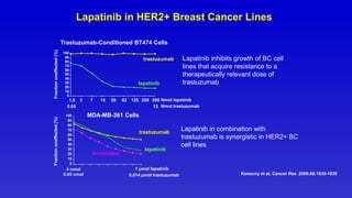 Not For Affirmative Use
Lapatinib in HER2+ Breast Cancer Lines
Trastuzumab-Conditioned BT474 Cells
Lapatinib inhibits growth of BC cell
lines that acquire resistance to a
therapeutically relevant dose of
trastuzumab
Lapatinib in combination with
trastuzumab is synergistic in HER2+ BC
cell lines
Konecny et al. Cancer Res. 2006;66:1630-1639
0
10
20
30
40
50
60
70
80
90
100
Fraction
unaffected
(%)
500
250
125
62
39
15
7
3
13
0.05
Nmol lapatinib
Nmol trastuzumab
1.5
trastuzumab
lapatinib
MDA-MB-361 Cells
0
10
20
30
40
50
60
70
80
90
100
lapatinib
Combination
trastuzumab
Fraction
unaffected
(%)
0.014 µmol trastuzumab
1 µmol lapatinib
4 nmol
0.05 nmol
x
 