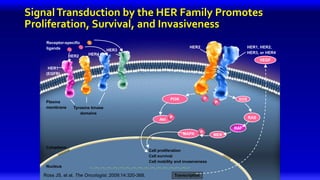6
Akt
SOS
RAS
RAF
MEK
VEGF
MAPK P
P
P
P
Receptor-specific
ligands HER1, HER2,
HER3, or HER4
HER2
HER1
(EGFR)
HER2 HER4
HER3
Tyrosine kinase
domains
Plasma
membrane
PI3K
Cell proliferation
Cell survival
Cell mobility and invasiveness
Cytoplasm
Nucleus
Transcription
SignalTransduction by the HER Family Promotes
Proliferation, Survival, and Invasiveness
Ross JS, et al. The Oncologist. 2009;14:320-368.
 
