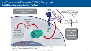 63
ado-Trastuzumab Emtansine (T-DM1) Background:
Dual Mechanism of Action (MOA)
Emtansine
release
Inhibition of
microtubule
polymerization
Internalization
HER2
Lysosome
Nucleus
P
P
P
Trastuzumab-specific MOA
maintained
Antibody:
Trastuzumab
Emtansine
Cytotoxic: DM1
Stable linker:
MCC
Antibody–drug
conjugate:
T-DM1
Highly potent
DM1a
is internalized
within HER2(+)
cancer cells
© 2014 Genentech, Inc. All rights reserved.
Junttila T, et al. Breast Cancer Res Treat 2011;128:347-356.
aDM1 is 24- to 270-fold more potent than taxane in cytotoxic assays
M3.K.BC.Adv.Ow.8
 