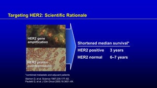 Slamon D, et al. Science 1987;235:177–82.
Pauletti G, et al. J Clin Oncol 2000;18:3651–64.
Shortened median survival*
HER2 positive 3 years
HER2 normal 6–7 years
HER2 protein
overexpression
Targeting HER2: Scientific Rationale
HER2 gene
amplification
*combined metastatic and adjuvant patients
 