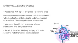 EXTRANODAL EXTENSION(ENE)
• Associated with a poor prognosis (½ survival rate)
Presence of skin involvement/soft tissue involvement
with deep fixation or tethering to underline muscle/
structures or clinical sign of nerve Involvement
• Increased risk of local recurrence, distant
metastases and early recurrence
• If ENE is detected following surgery add post-
operative radiotherapy or chemoradiation
 