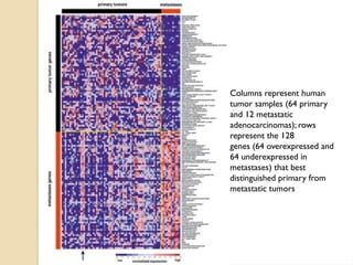 Comprehensive Overview of Metastatic Signature and Tumor Metastasis ...